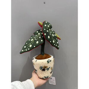 Plushf - Begonia maculata plant plush